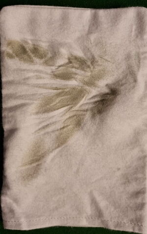 Was noch aus dem bereits gereinigten Queue rauskam